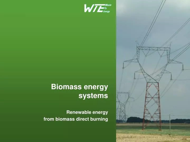 biomass energy systems