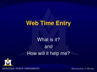 Web Time Entry