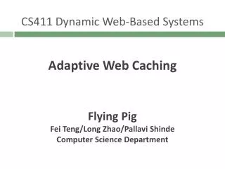 CS411 Dynamic Web-Based Systems