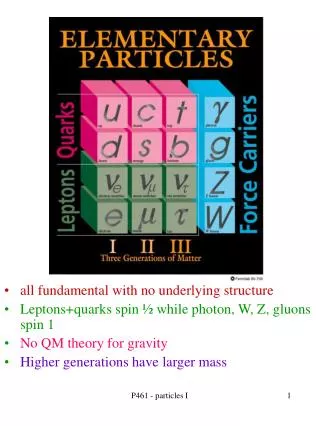 all fundamental with no underlying structure