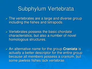 Subphylum Vertebrata