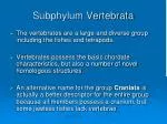 PPT - Subphylum Vertebrata PowerPoint Presentation, free download - ID ...