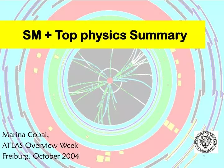 sm top physics summary