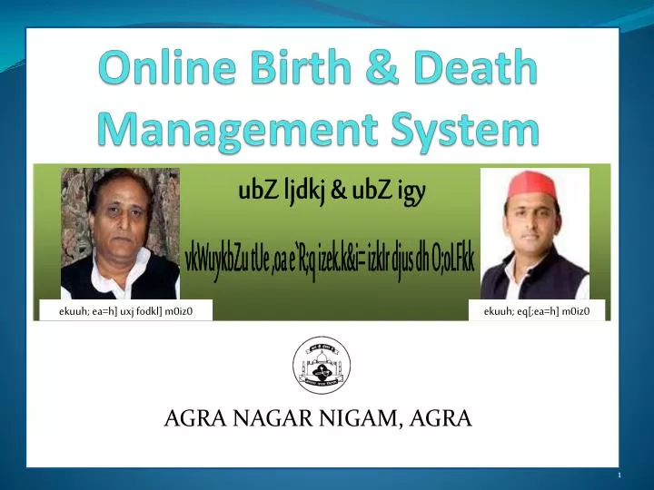 online birth death management system
