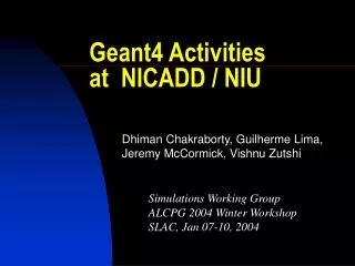 Geant4 Activities at NICADD / NIU