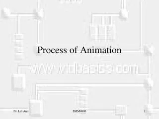 Process of Animation