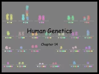 Human Genetics