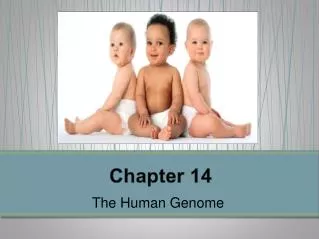 chapter 14