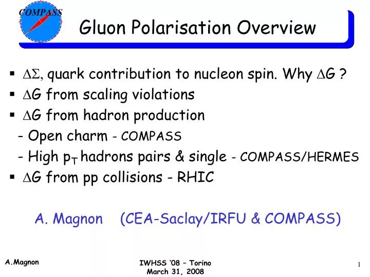 gluon polarisation overview