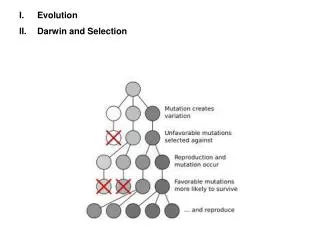 Evolution Darwin and Selection