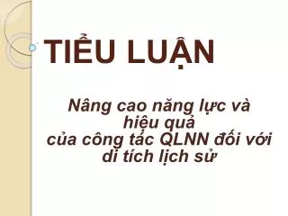 ti u lu n