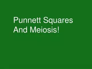 Punnett Squares And Meiosis!