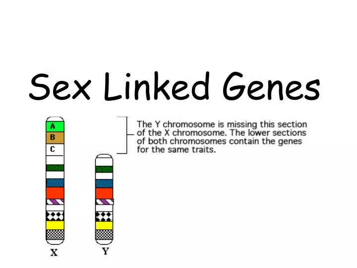 sex linked genes