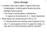 Gene dosage - slide 1