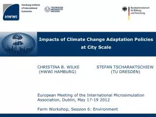 Impacts of Climate Change Adaptation Policies at City Scale