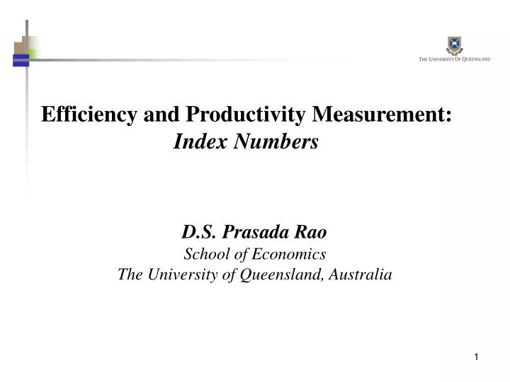efficiency and productivity measurement index numbers