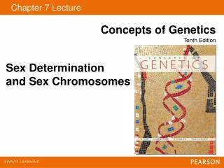 Chapter 7 Lecture