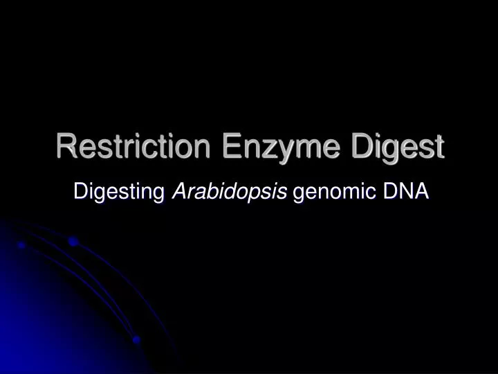 restriction enzyme digest