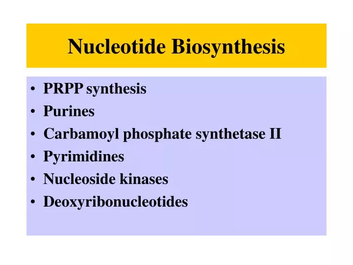 nucleotide biosynthesis