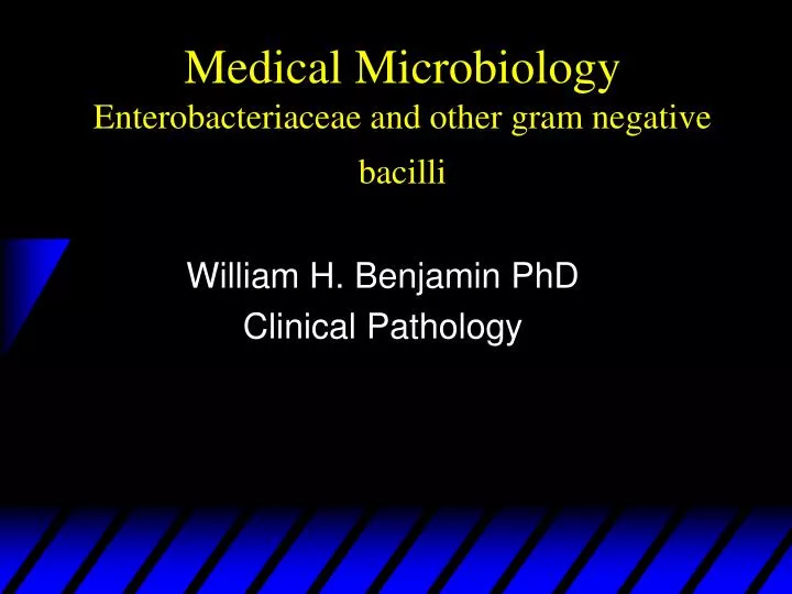 medical microbiology enterobacteriaceae and other gram negative bacilli