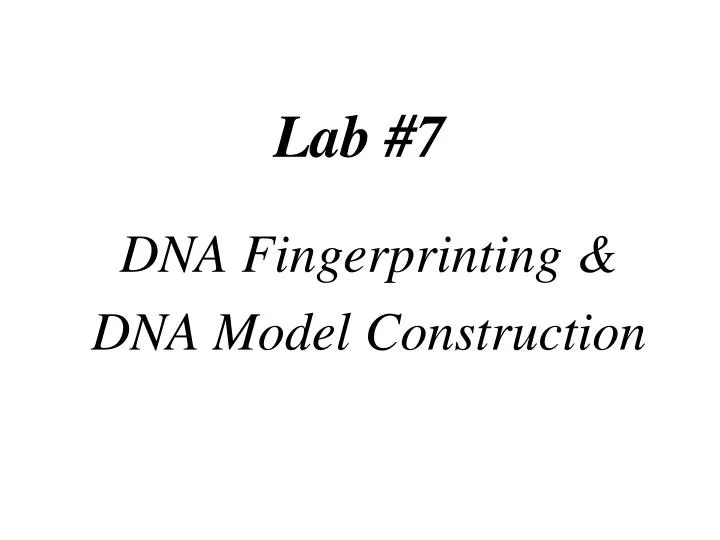 lab 7