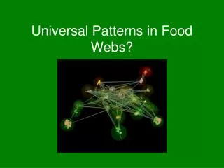 Universal Patterns in Food Webs?