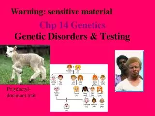 Chp 14 Genetics Genetic Disorders &amp; Testing