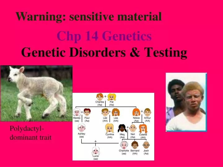 chp 14 genetics genetic disorders testing