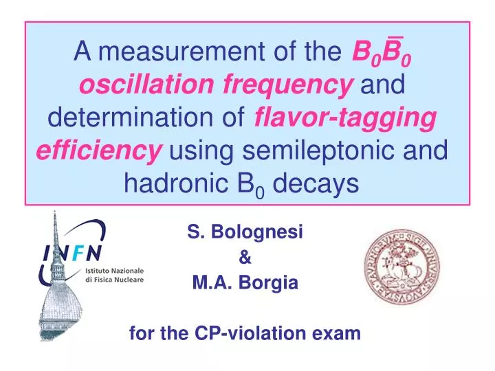 s bolognesi m a borgia for the cp violation exam