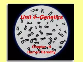 Unit 4--Genetics