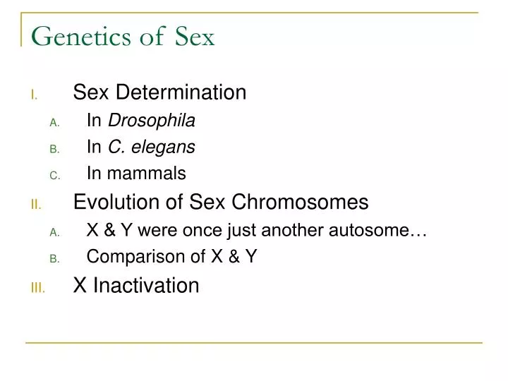 Ppt Genetics Of Sex Powerpoint Presentation Free Download Id 6783477