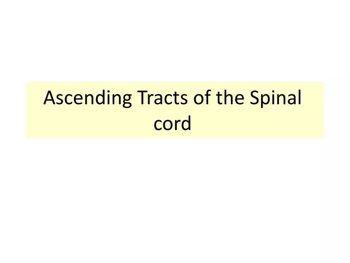 ascending tracts of the spinal cord