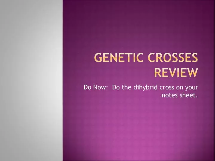 genetic crosses review