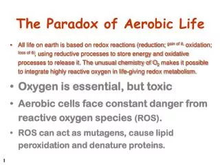 The Paradox of Aerobic Life