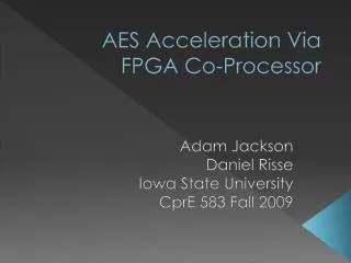 AES Acceleration Via FPGA Co-Processor