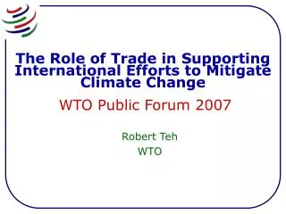 Robert Teh WTO