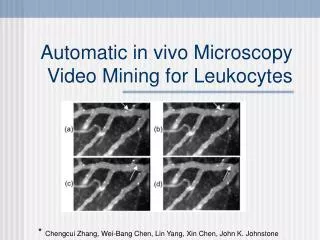 Automatic in vivo Microscopy Video Mining for Leukocytes