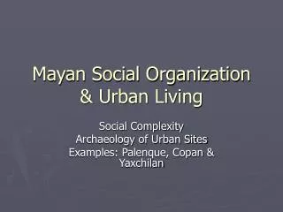 Mayan Social Organization &amp; Urban Living