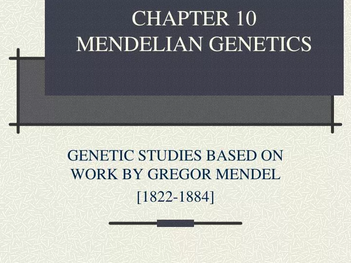 PPT - CHAPTER 10 MENDELIAN GENETICS PowerPoint Presentation, Free ...