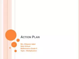 action plan