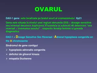 ovarul