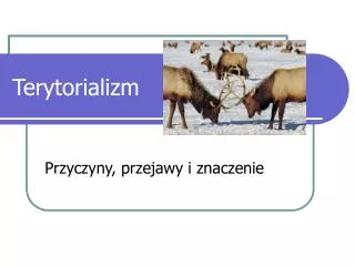 terytorializm