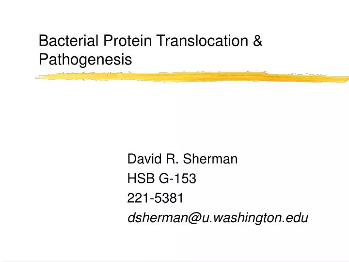 bacterial protein translocation pathogenesis