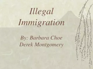 Illegal Immigration By: Barbara Choe Derek Montgomery