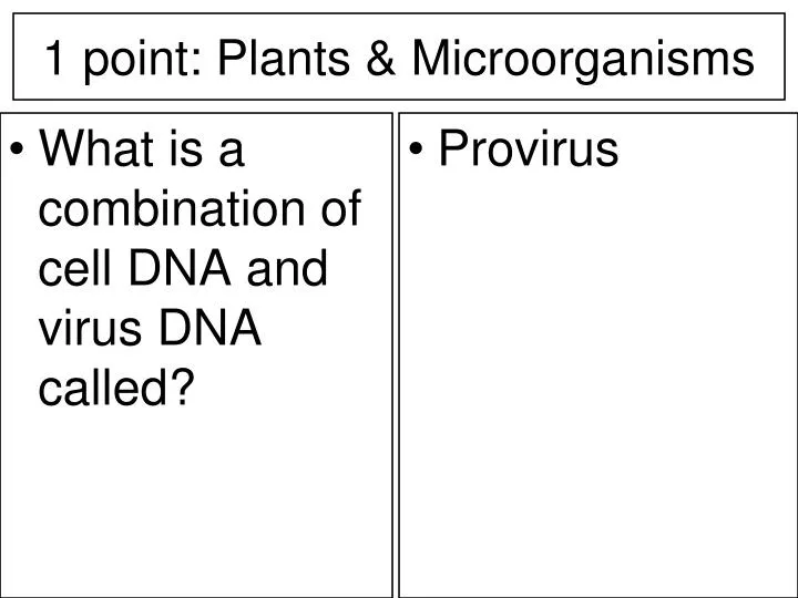 1 point plants microorganisms