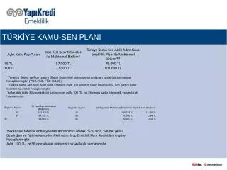 t rk ye kamu sen plani