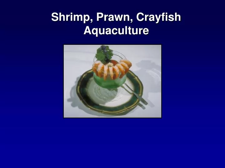 shrimp prawn crayfish aquaculture