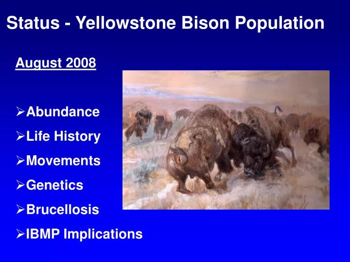 status yellowstone bison population