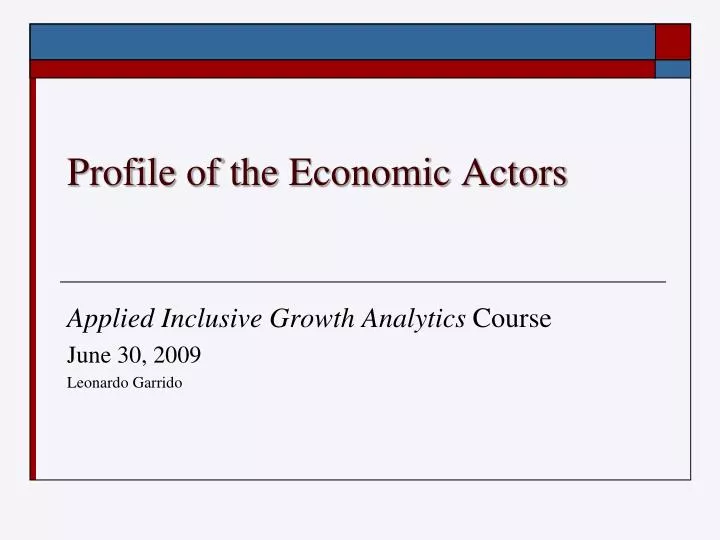 profile of the economic actors