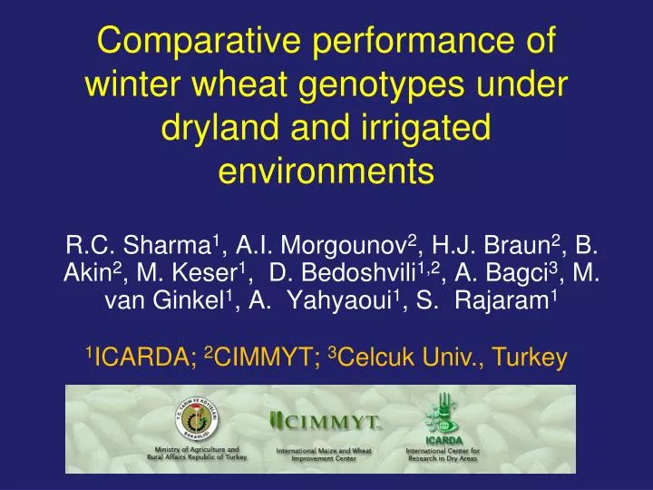 comparative performance of winter wheat genotypes under dryland and irrigated environments